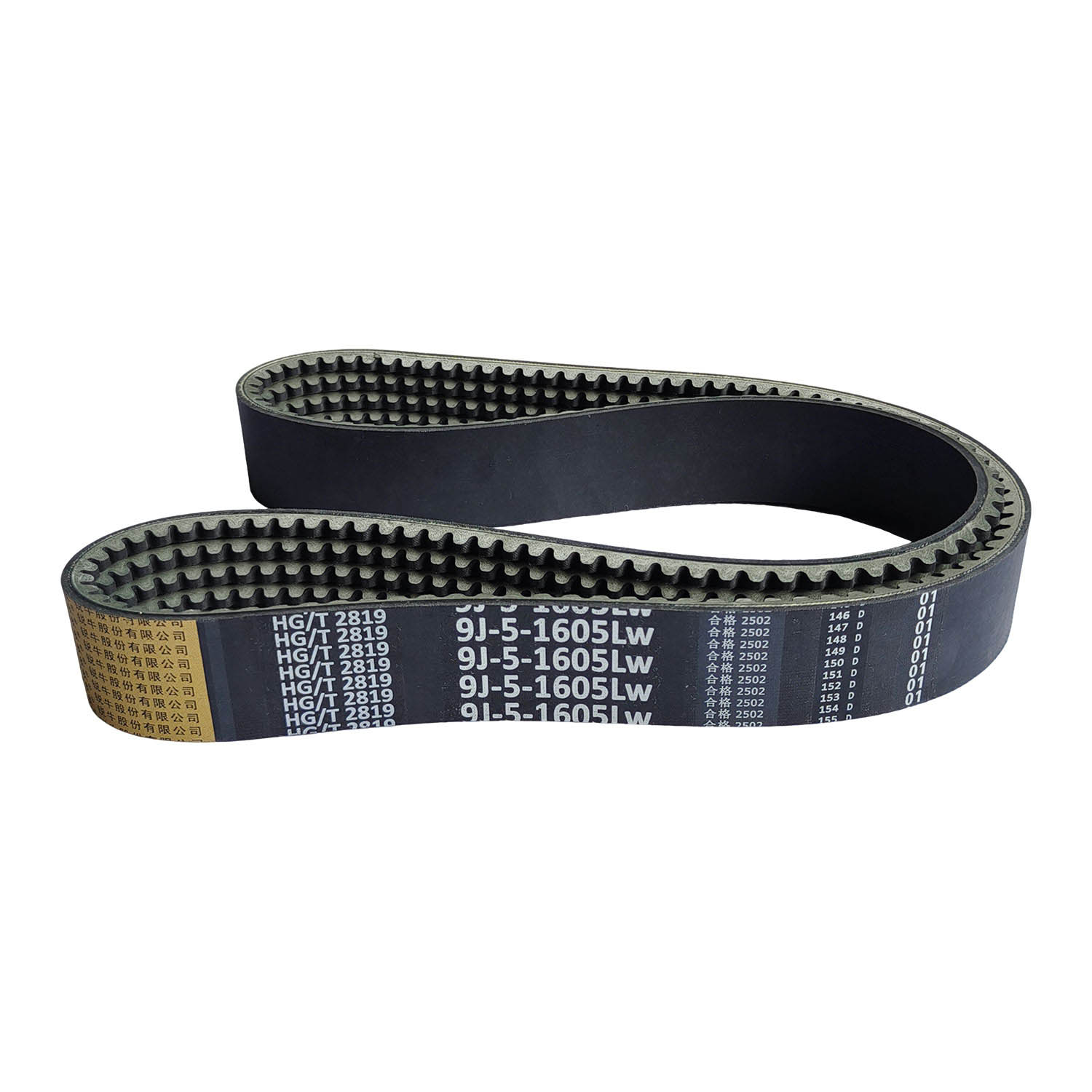 TEETH BELT, FOR FM WORLD RUILONG, FEILONG